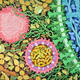 Two Zika particles at work (Image: David S. Goodsel/RCSB Protein Data Bank)
